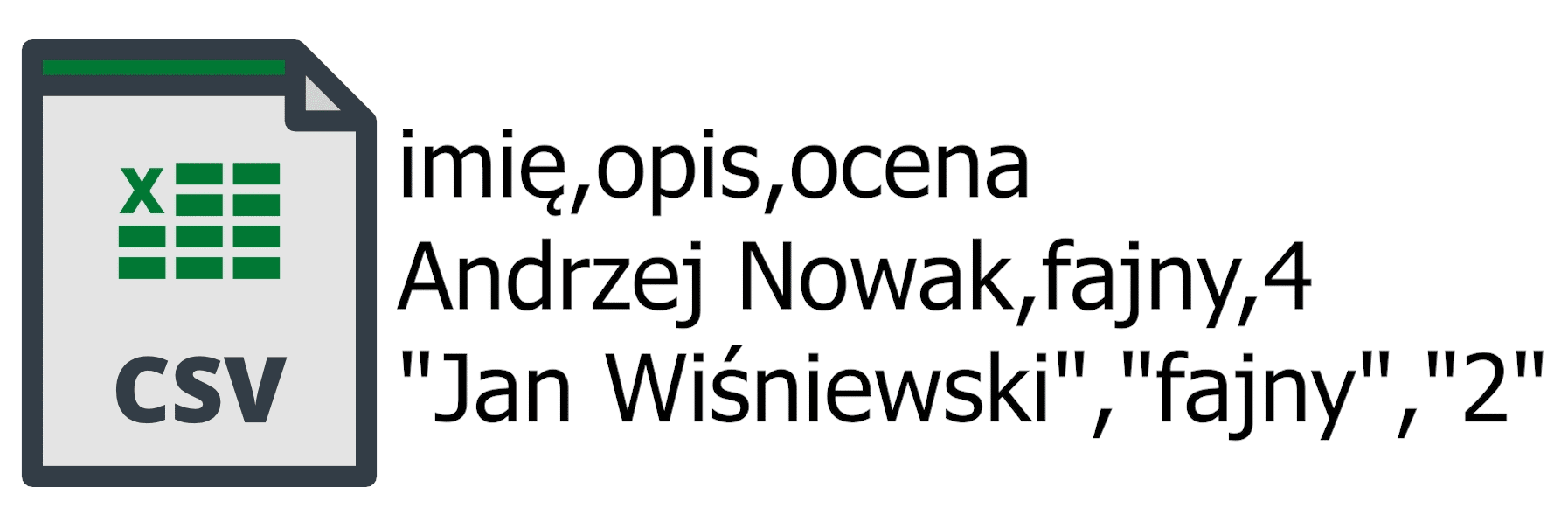 Wygląd pliku CSV